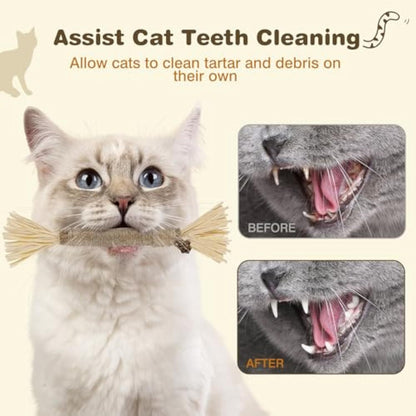 3-Pack Silvervine Chew Sticks for Cats – Dental Care & Teeth Cleaning Toys