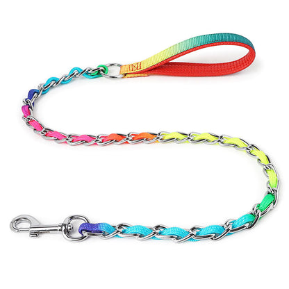 Ulysses Rainbow Metal Dog Leash