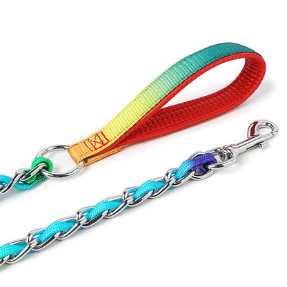 Ulysses Rainbow Metal Dog Leash