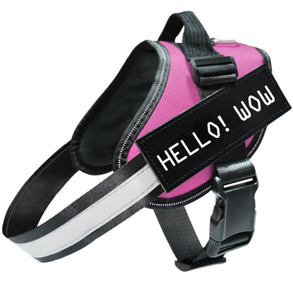 Reflective Dog Leash, Leash & Harness