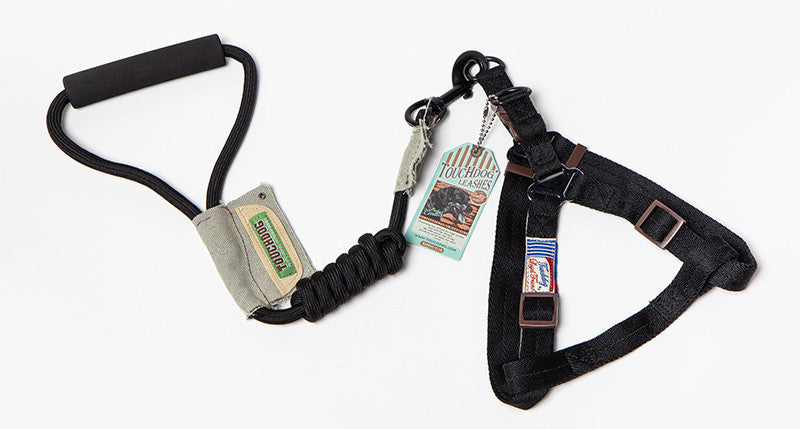 Dog Leash & Vest Set for Small and Large Dogs