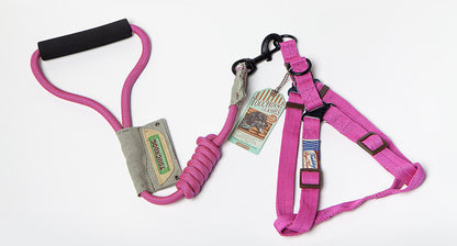 Dog Leash & Vest Set for Small and Large Dogs