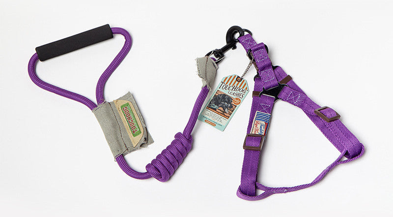 Dog Leash & Vest Set for Small and Large Dogs