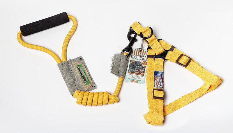 Dog Leash & Vest Set for Small and Large Dogs