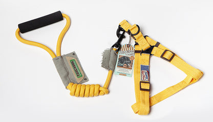 Dog Leash & Vest Set for Small and Large Dogs