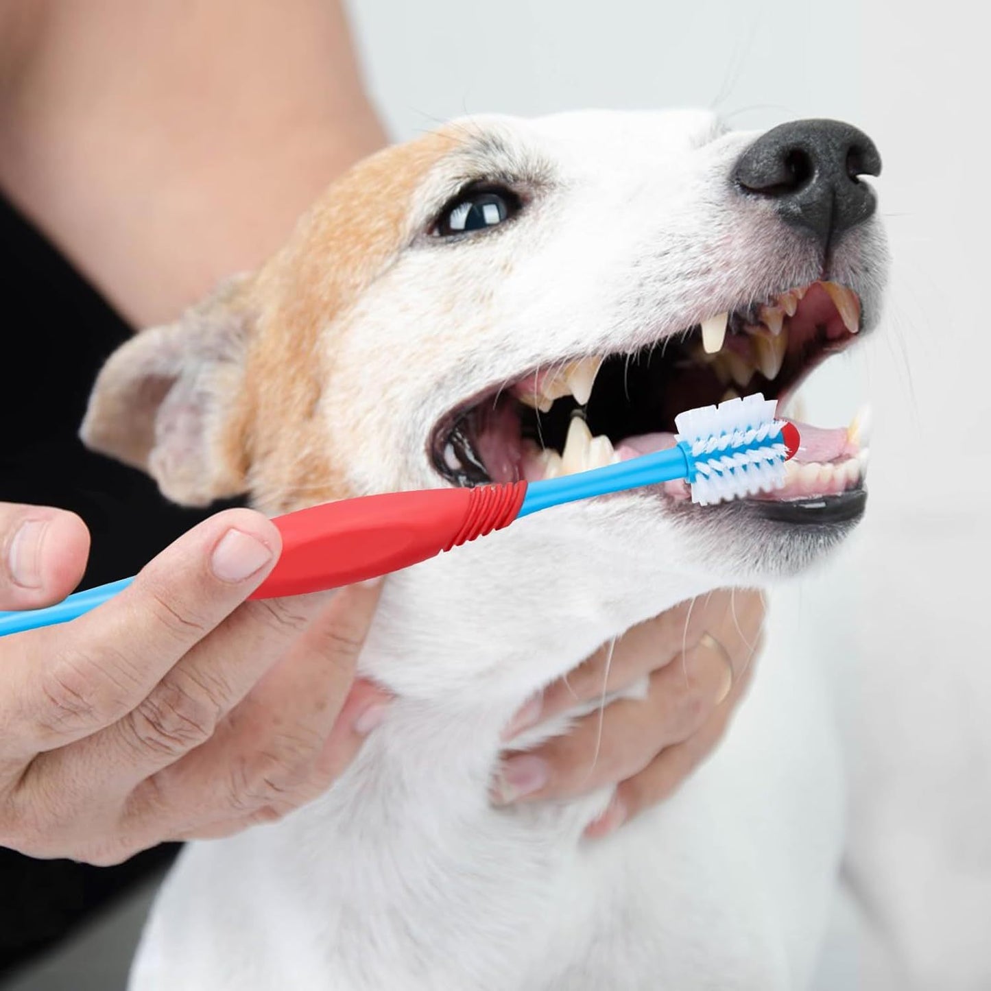 Dual-Headed 360° Dog Toothbrush - Pet Oral Care for Dogs, Cats, and Small Pets