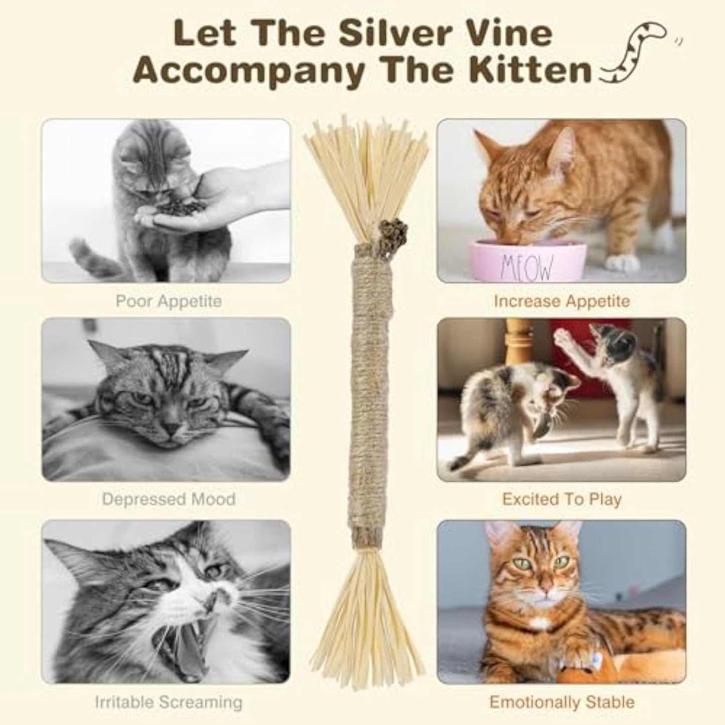 3-Pack Silvervine Chew Sticks for Cats – Dental Care & Teeth Cleaning Toys