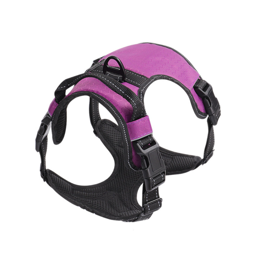 Reflective Dog Leash & Pet Vest Harness