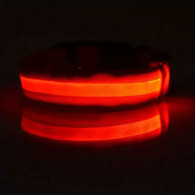 Nylon LED Night Safety Flashing Glow-in-the-Dark Dog Leash & Collar