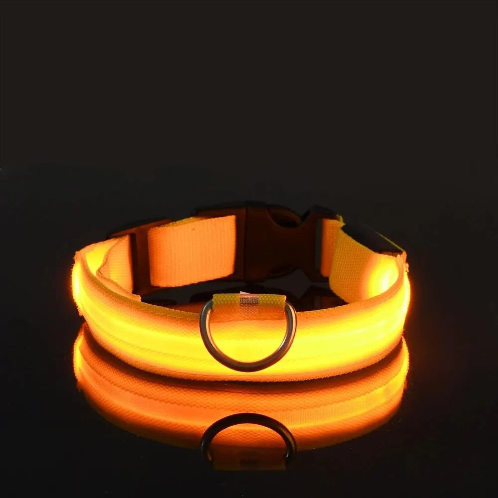 Nylon LED Night Safety Flashing Glow-in-the-Dark Dog Leash & Collar