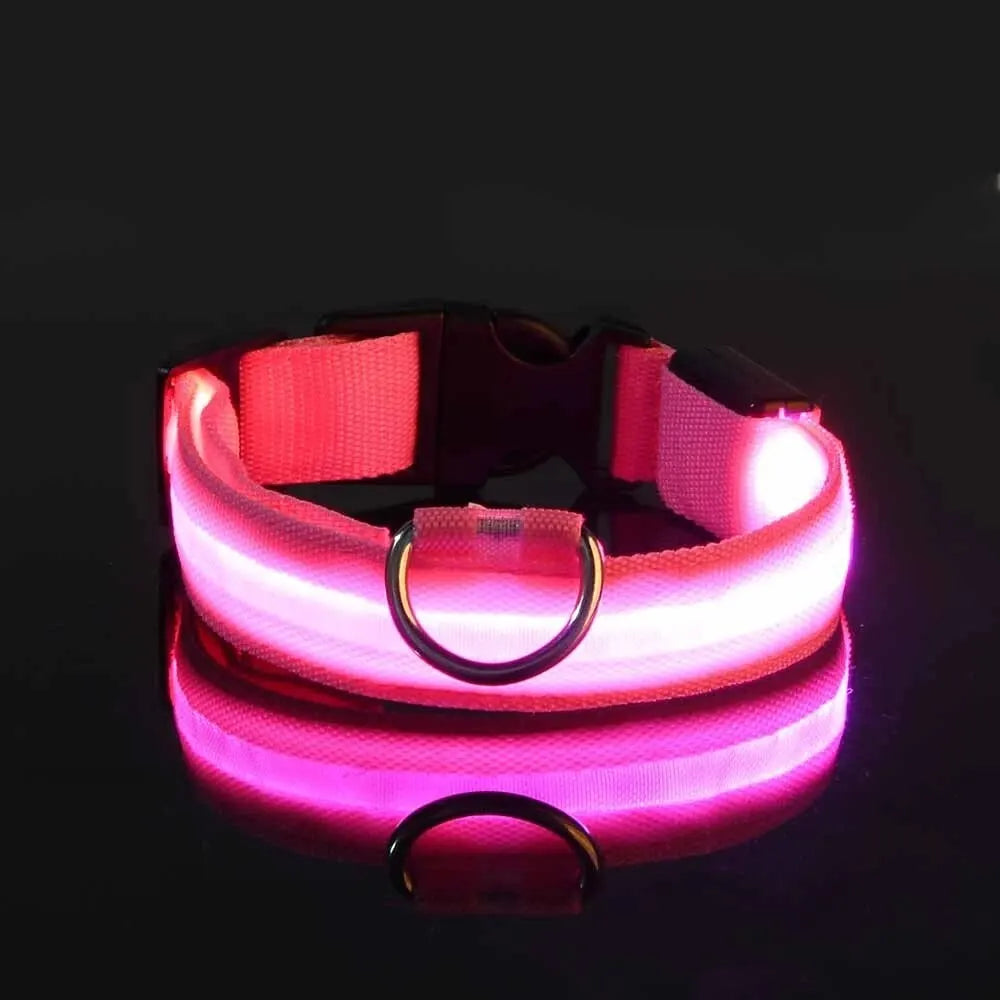 Nylon LED Night Safety Flashing Glow-in-the-Dark Dog Leash & Collar