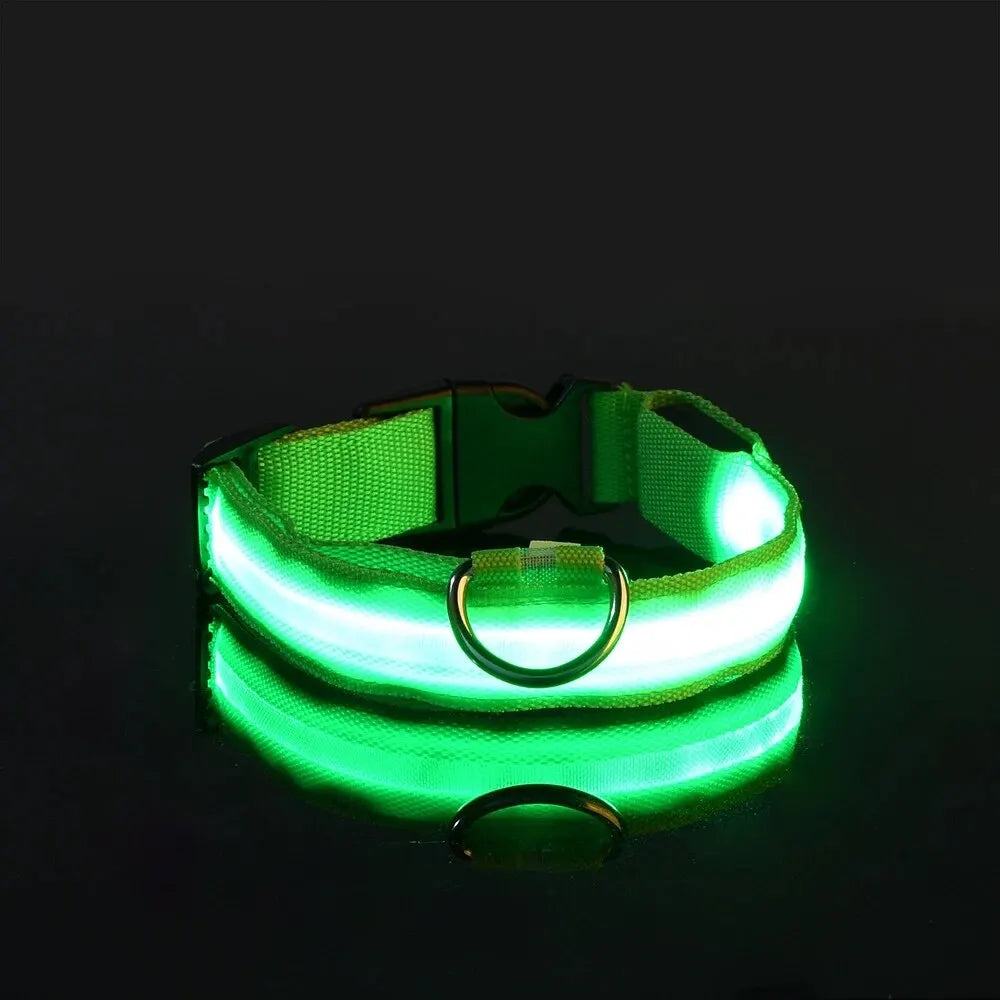 Nylon LED Night Safety Flashing Glow-in-the-Dark Dog Leash & Collar