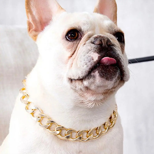 Pet Dog French Bulldog Collar Adjustable Fashion Necklace Chain Neck Strap For Small Medium Dogs