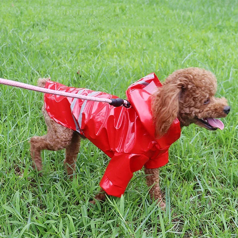 Reflective, waterproof, and snowproof dog raincoat in a cape poncho style, perfect for small pets like Chihuahuas, Bulldogs, and cats.