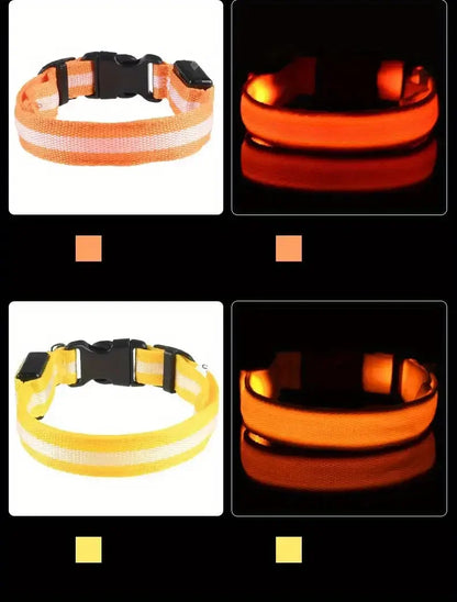 Nylon LED Night Safety Flashing Glow-in-the-Dark Dog Leash & Collar