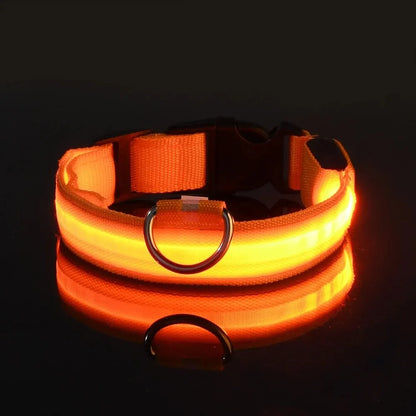 Nylon LED Night Safety Flashing Glow-in-the-Dark Dog Leash & Collar