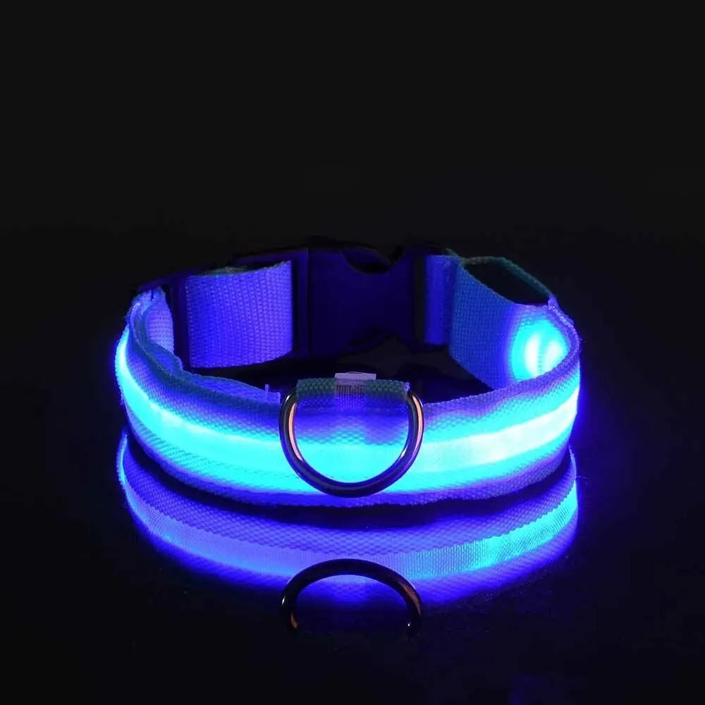 Nylon LED Night Safety Flashing Glow-in-the-Dark Dog Leash & Collar