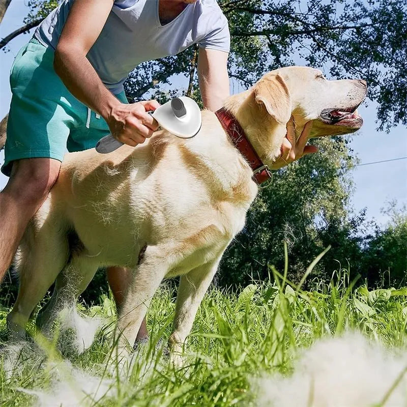 Pet Dog Brush & Cat Comb - Self Cleaning Grooming Tool