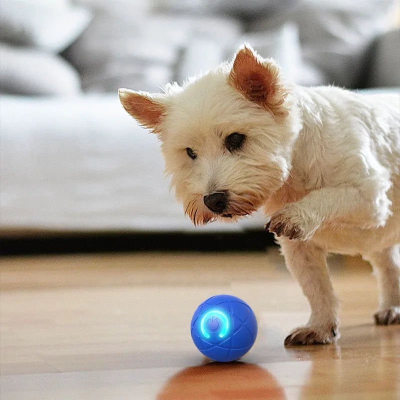 Smart Dog Toy Ball USB Automatic Moving Bouncing Ball Dog Toy Rechargeable Bite-Resistant Dog Ball Electric Interactive Pet Toy