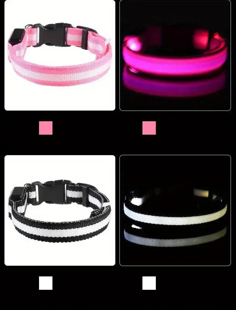 Nylon LED Night Safety Flashing Glow-in-the-Dark Dog Leash & Collar