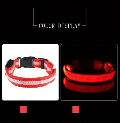 Nylon LED Night Safety Flashing Glow-in-the-Dark Dog Leash & Collar