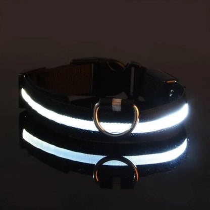 Nylon LED Night Safety Flashing Glow-in-the-Dark Dog Leash & Collar