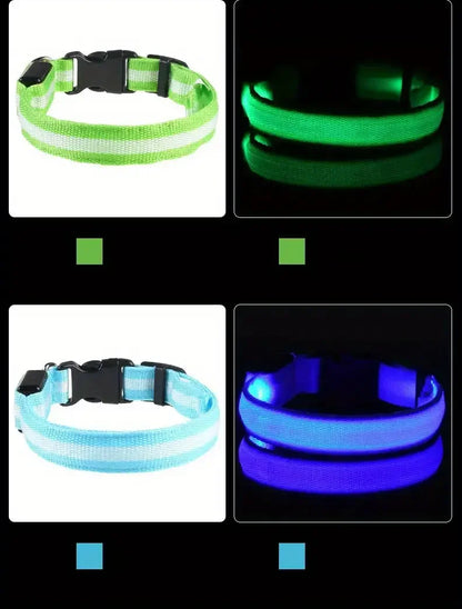 Nylon LED Night Safety Flashing Glow-in-the-Dark Dog Leash & Collar