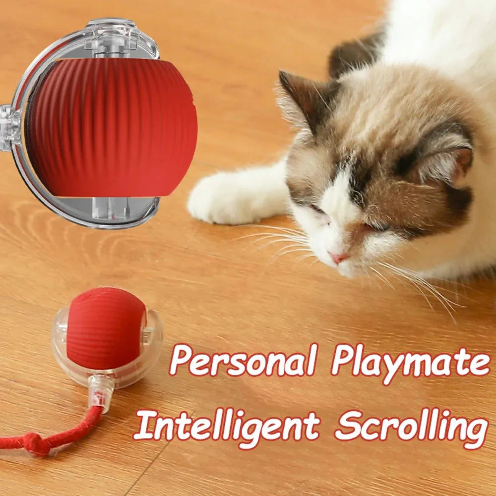 Pet Toy Interactive Automatic Rolling Bouncing Ball Cat Dog Boredom Relief Toys Pet Training Supplies