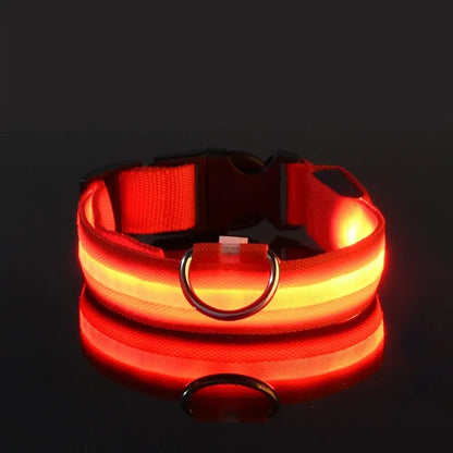 Nylon LED Night Safety Flashing Glow-in-the-Dark Dog Leash & Collar