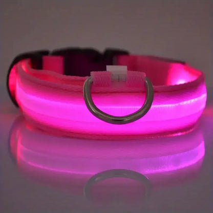 Nylon LED Night Safety Flashing Glow-in-the-Dark Dog Leash & Collar