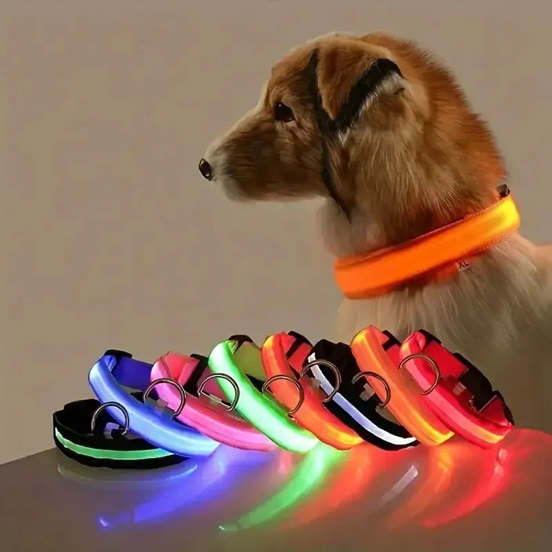 Nylon LED Night Safety Flashing Glow-in-the-Dark Dog Leash & Collar