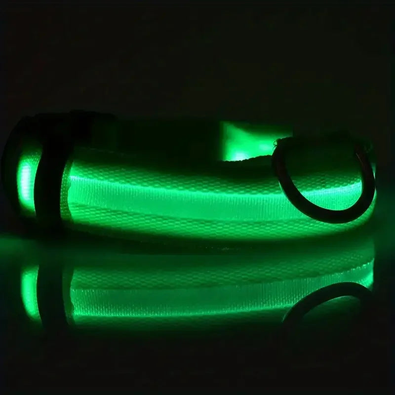 Nylon LED Night Safety Flashing Glow-in-the-Dark Dog Leash & Collar