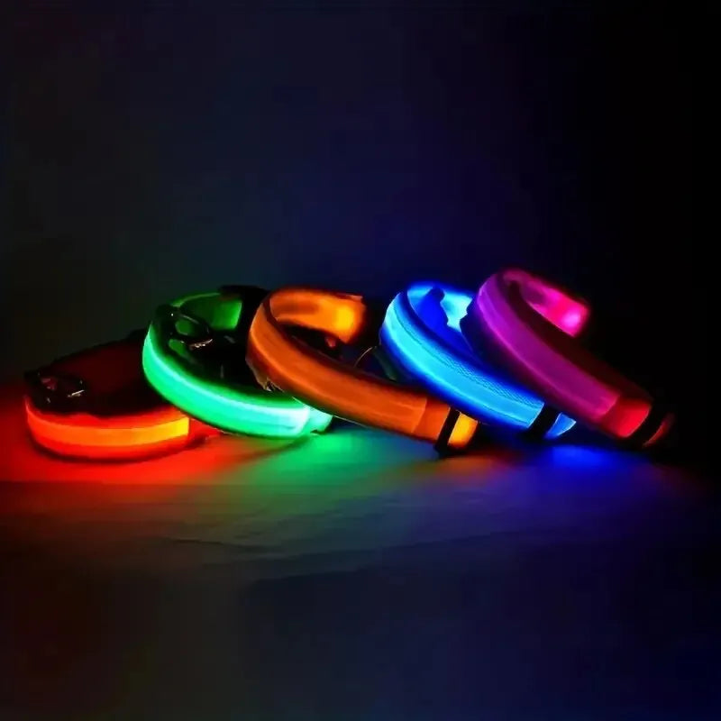 Nylon LED Night Safety Flashing Glow-in-the-Dark Dog Leash & Collar