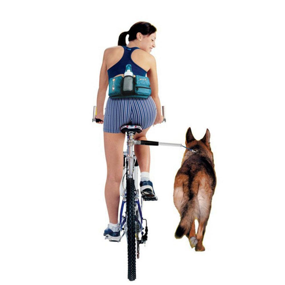 Towing Dog With Bicycle Dog Walker